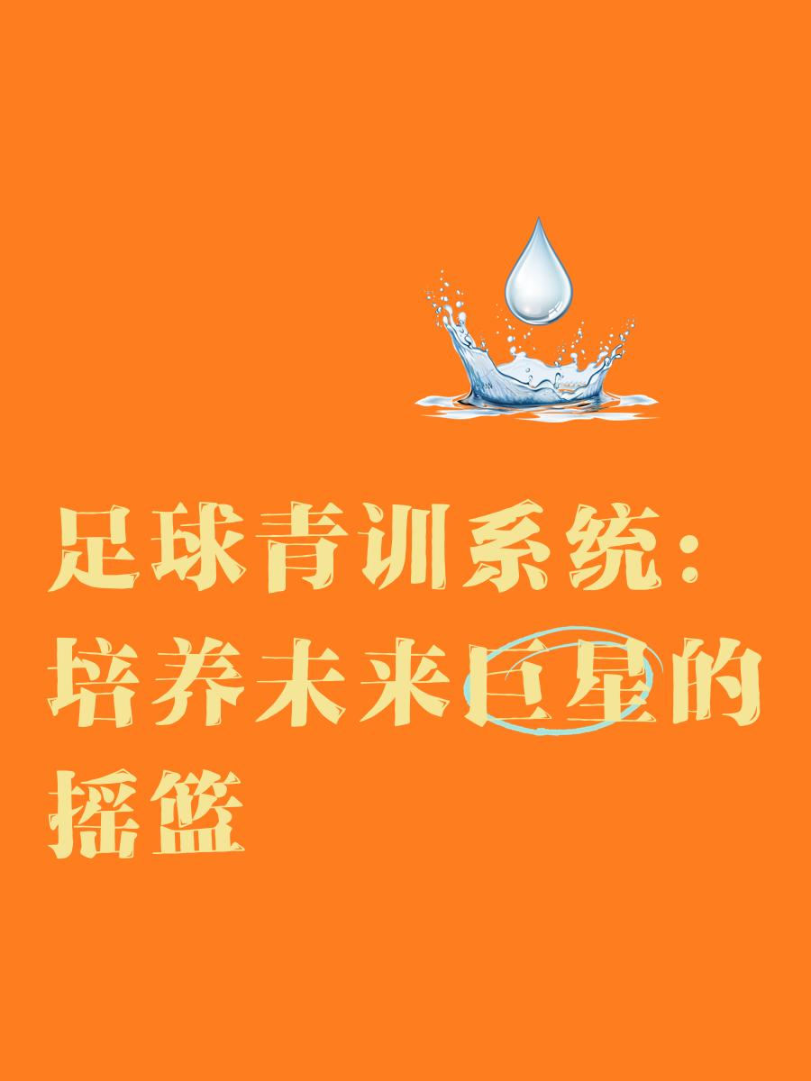 世界足球巨星指导青年队，助力成长