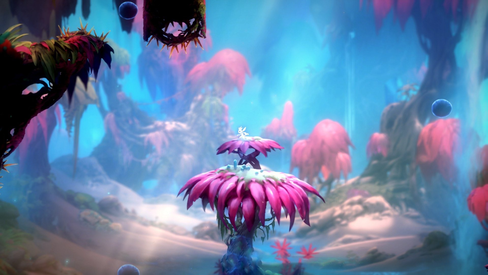 挪威强压瑞士，卡拉斯科化身关键先生定乾坤