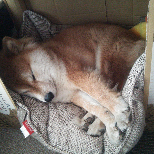 pg电子游戏-双线争冠，克罗地亚足球提前终结悬念，毕尔巴鄂黯然；卡瓦哈尔F1赛场接管年度争冠