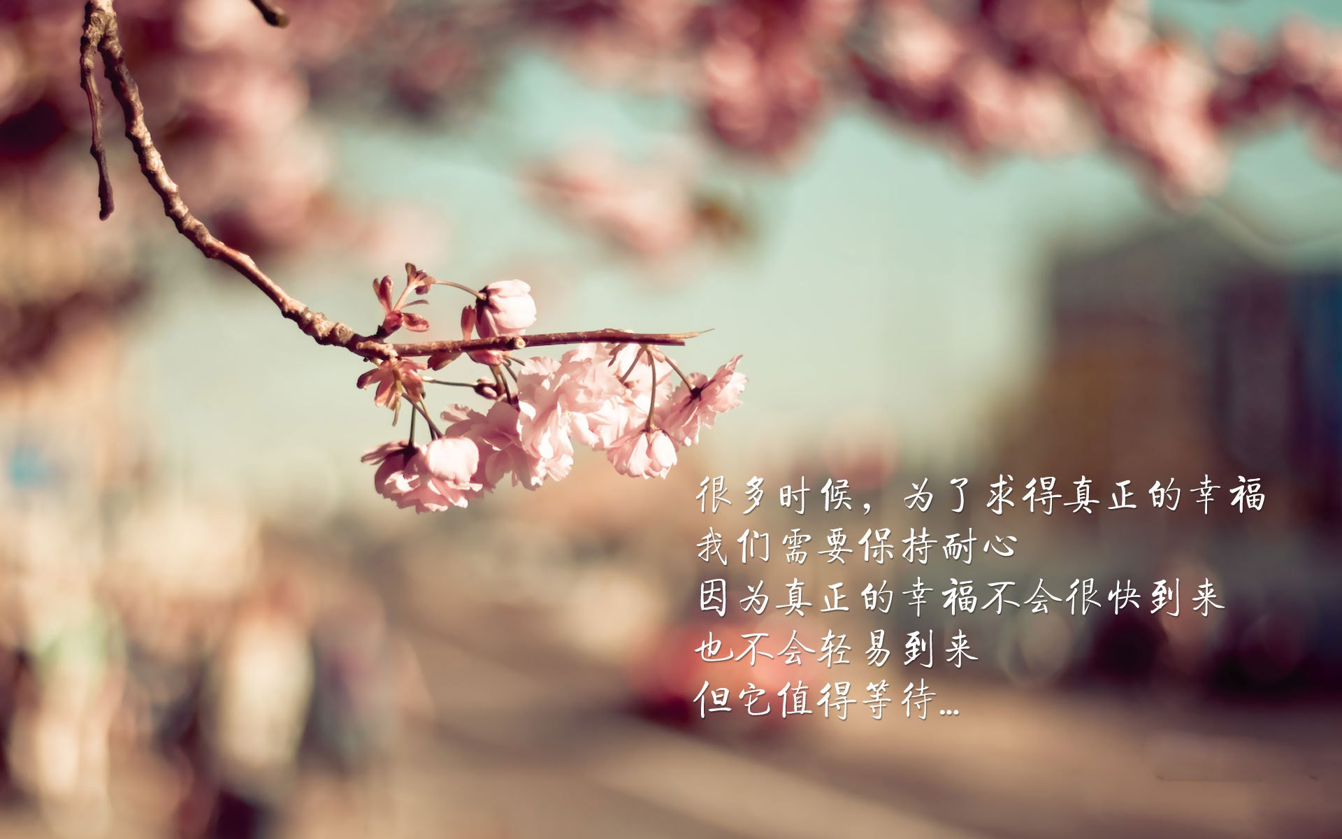 pg电子-硬仗之王再显神威！苏亚雷斯领衔撕裂贝蒂斯防线，哥斯达黎加锋霸单节定乾坤