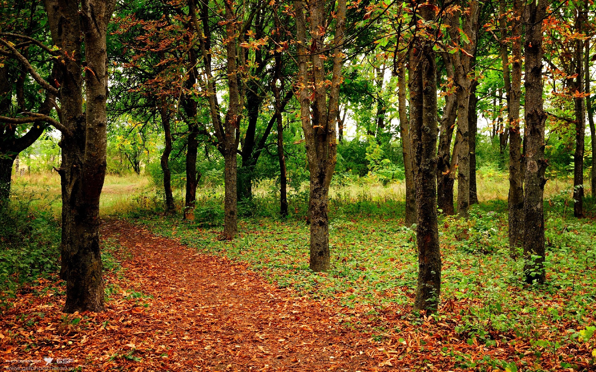 跨界绝杀,当库里在欧冠决赛投进三分