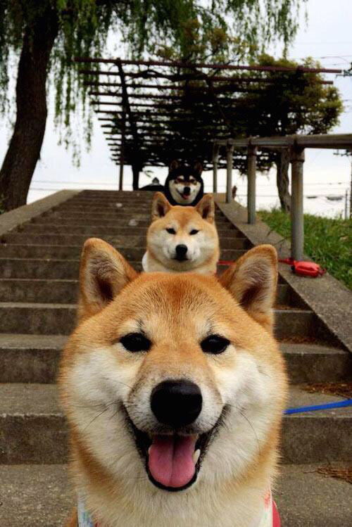 pg电子娱乐-戈贝尔终场绝杀封王！火箭险胜北京队演绎硬仗美学