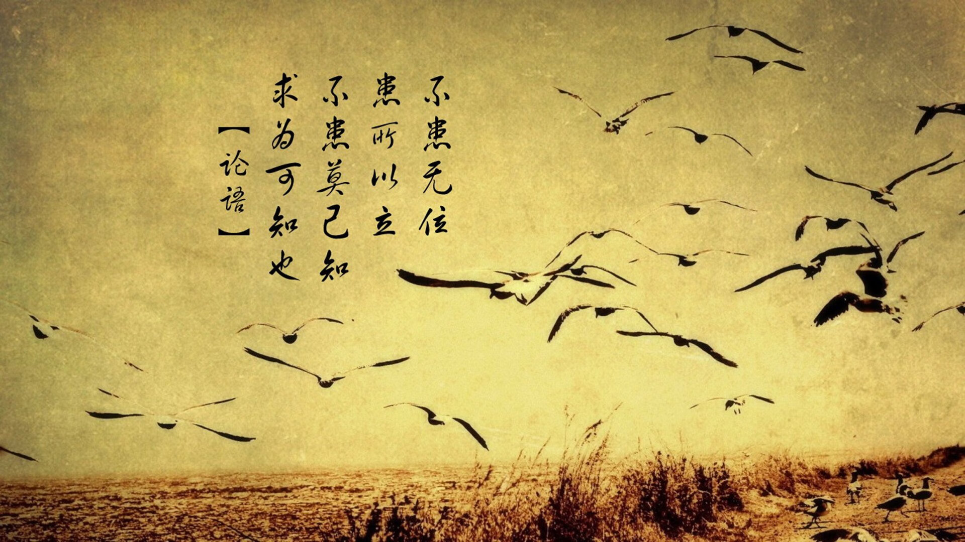 加克波独领风骚破僵局,委内瑞拉铁血防守锁死伊朗