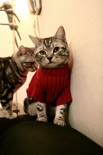 跨洋三分雨！库里狂轰12记三分率广东力克步行者，篮球无疆界之夜沸腾珠江