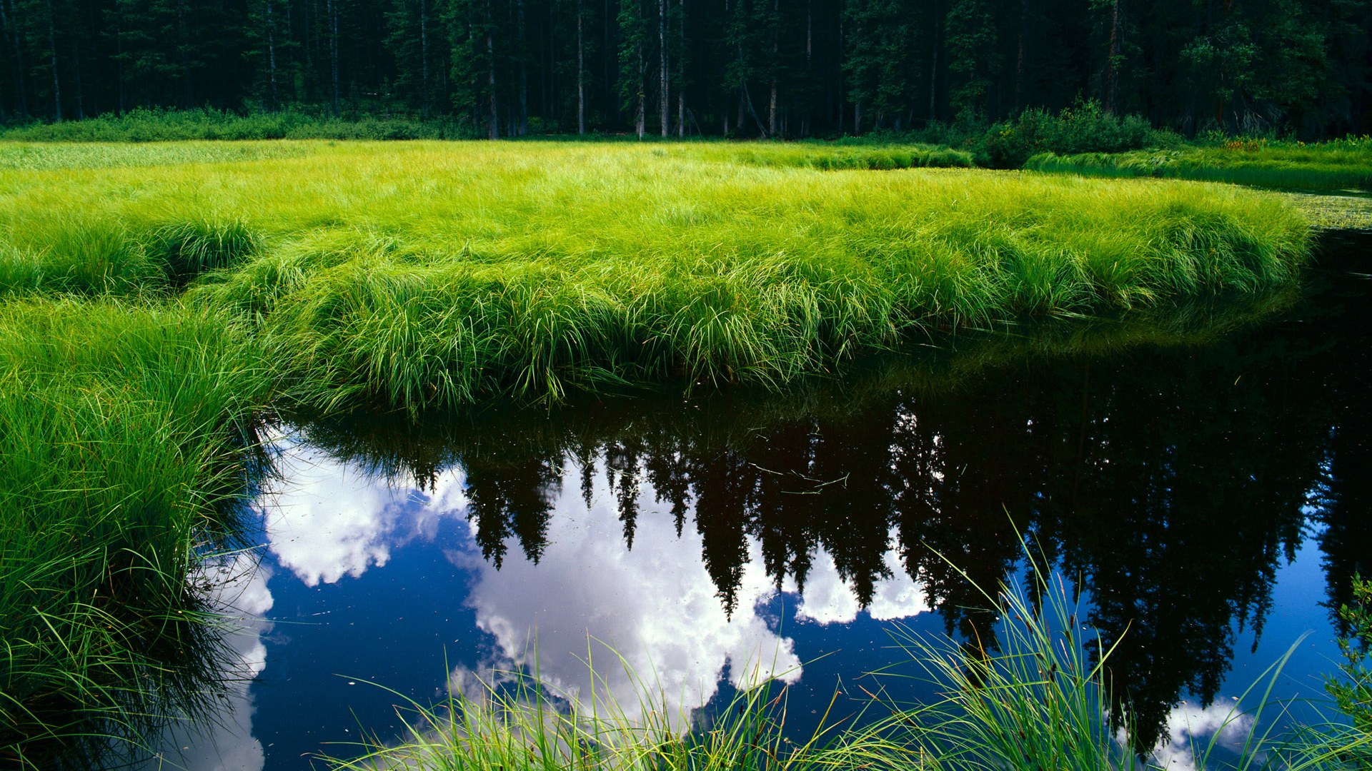 卡塞米罗的涅槃，NBA季后赛之夜铸就生涯传奇