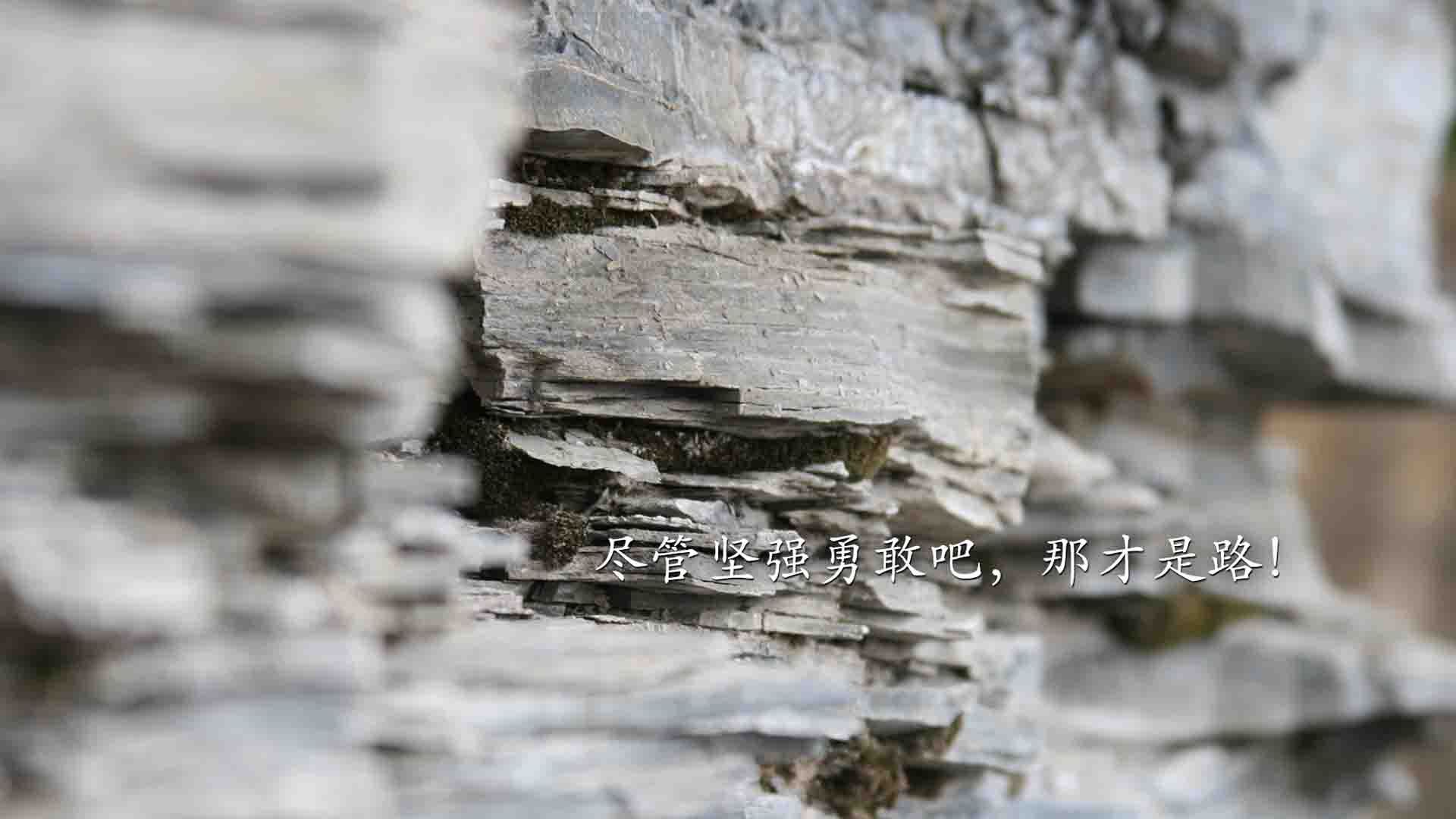 pg电子模拟器-意甲焦点战之夜，布鲁诺大师级表演，足球教科书上的鲜活篇章