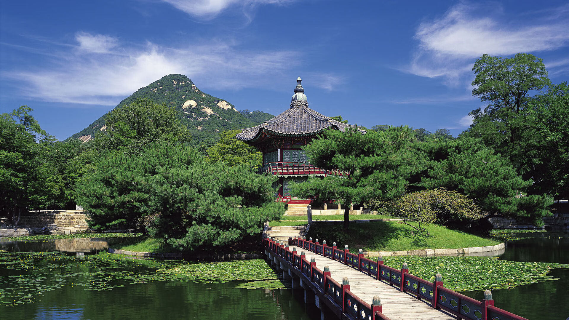 切特·霍姆格伦，控球中锋的节奏魔法，国王轻取奇才