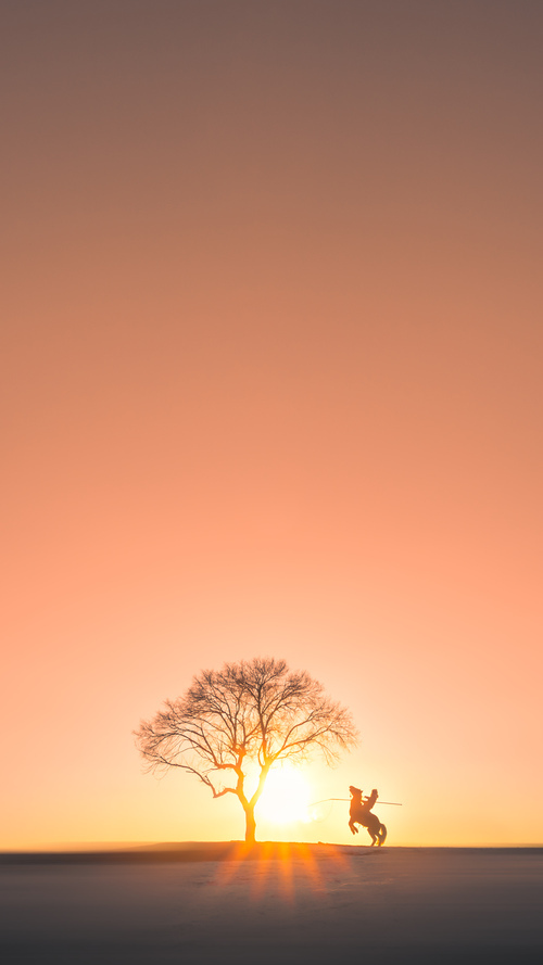 文班亚马49分创纪录之夜，东契奇三双+制胜封盖诠释何为终极赢家