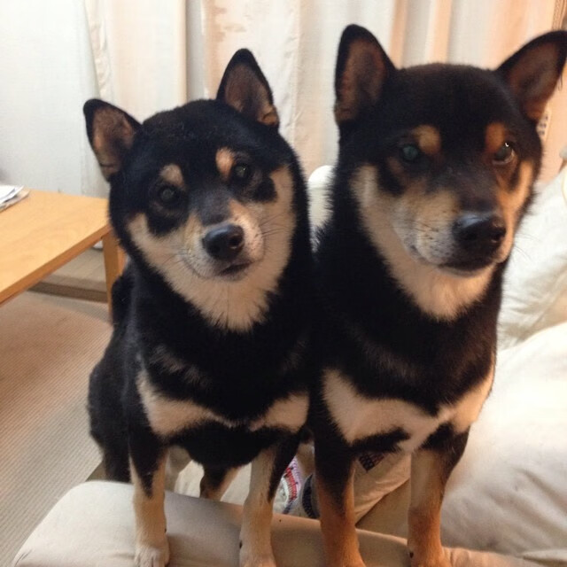 绿茵的权杖更迭夜，世界排名争夺战，凯塞多一记惊雷定乾坤