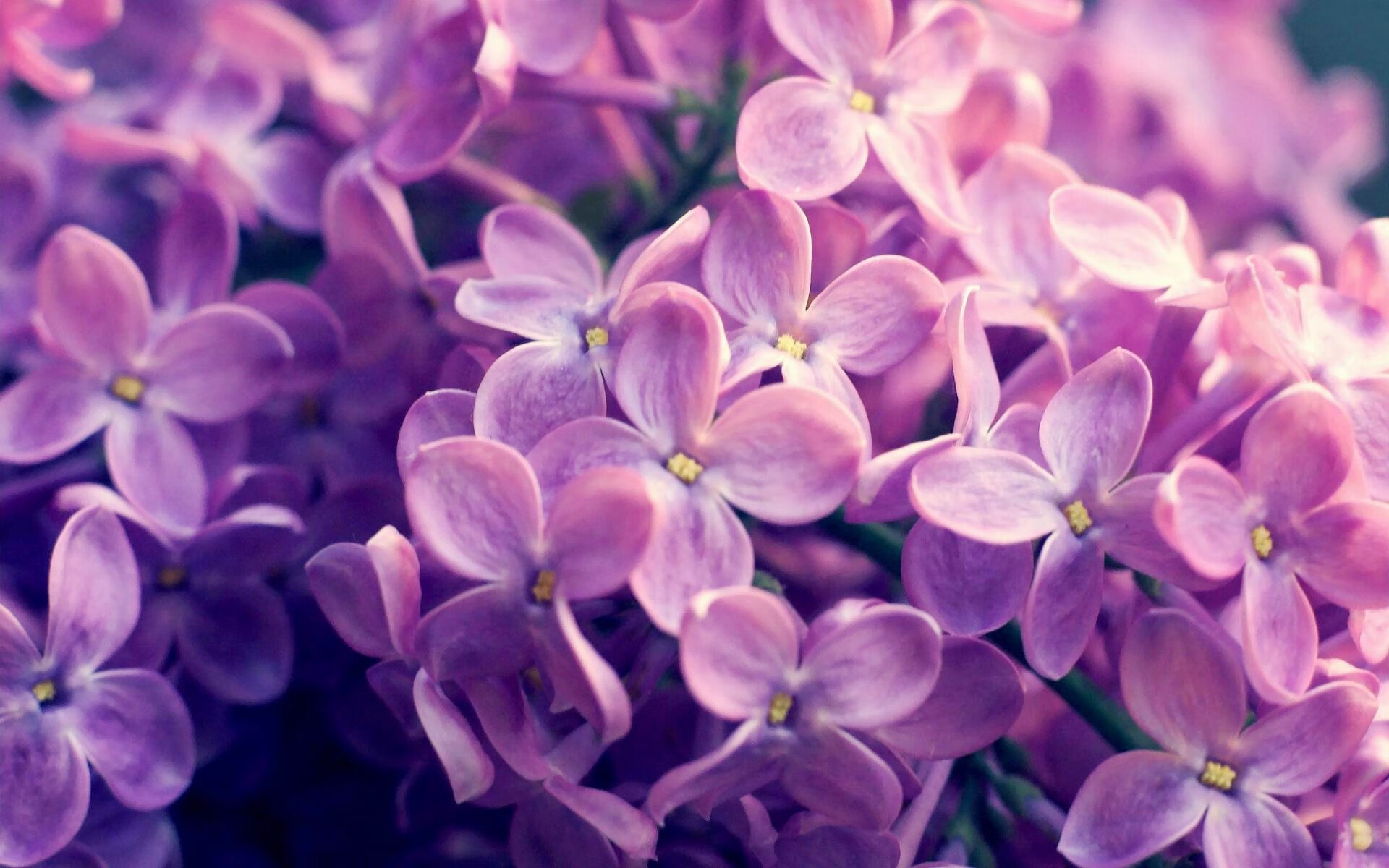 pg电子试玩网站-南非荒原狼，坎特在沉默中爆发，斩落蓝鹰拉齐奥