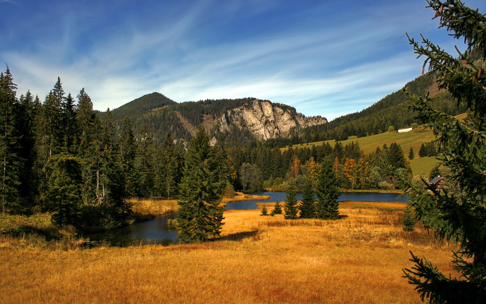 利拉德压哨三分绝杀黄蜂，雷霆关键先生再现传奇时刻