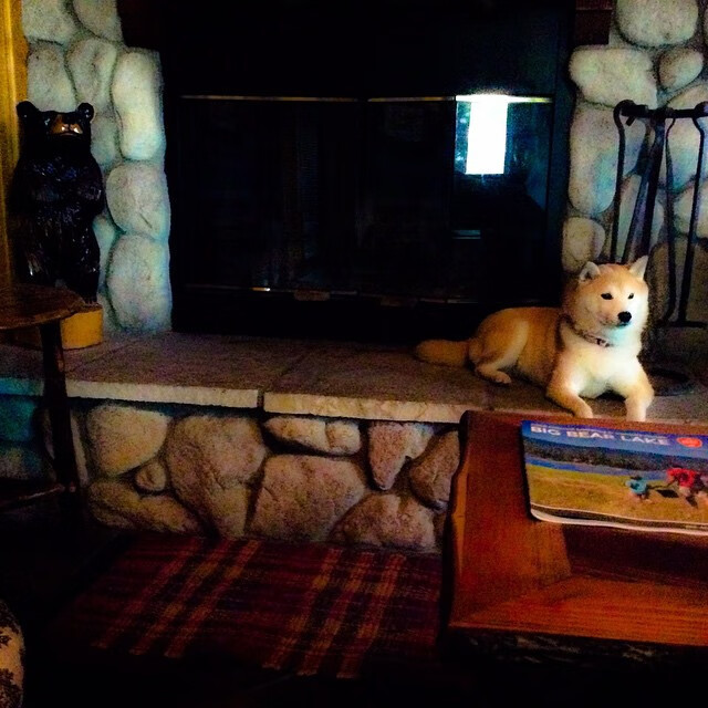 基耶萨一剑封喉!毕尔巴鄂友谊赛鏖战阿尔及利亚,关键进球定乾坤